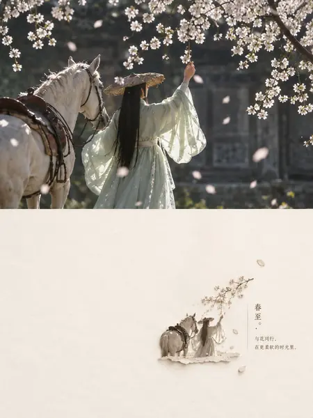 优雅的春分海报